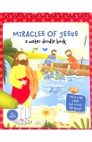 BK2466 - MIRACLES OF JESUS WATER DOODLE BOOK - - 2 