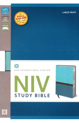 BK2546 - NIV Study Bible Turquoise Caribbean Blue Italian Duo Tone NIV Study - - 1 