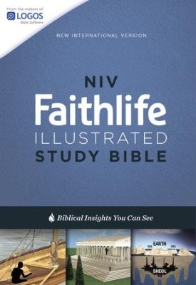 NIV Illustrating Bible Dark Grey 