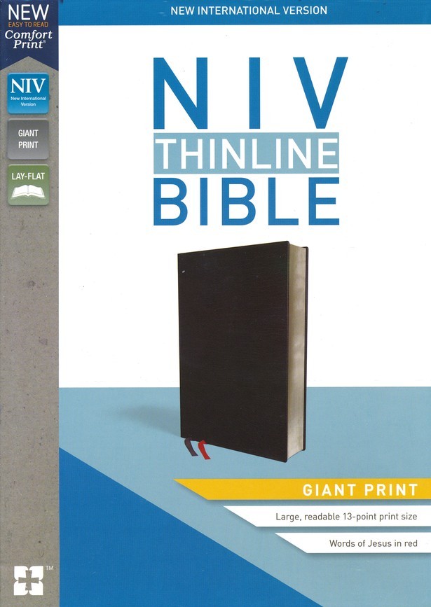 NIV Illustrating Bible Dark Grey 