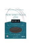BK2620 - NIV New Spirit Filled Life Bible Imitation Leather Gray - - 1 