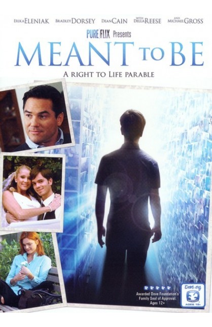 MEANT TO BE DVD
