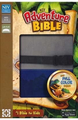 NIV ADVENTURE BIBLE GRAY/BLUE CLIP LOSURE