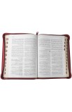 BK3073 - الكتاب المقدس بالخلفيات التوضيحية PU ZTI - - 4 