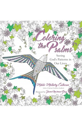 BK3089 - Coloring the Psalms Seeing God's Patterns in Our Lives - - 1 