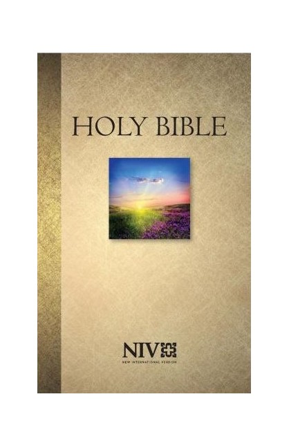 BK3142 - NIV 2011 VERSION PAPERBACK BIBLE 124050 - - 1 