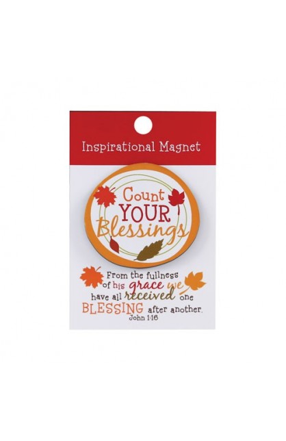LCP61112 - COUNT YOUR BLESSINGS COLORFUL MAGNET - - 1 