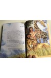 BK3144 - ARABIC THE LION CHILDREN'S BIBLE قصص مصورة للاطفال - - 3 