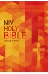 BK3161 - NIV OUTREACH BIBLE LARGE PRINT - - 1 