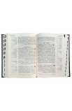 ARABIC BIBLE NVDCR053ATI