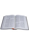 ARABIC BIBLE NVD42