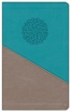 BK3197 - NIV Personal Size Large Print TEAL GLD - - 2 