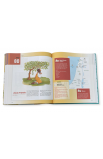 BK3232 - 100 STEPS FAMILY BIBLE - - 2 