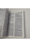 BK0241 - ENGLISH BIBLE CEV YOUTH BIBLE - - 8 