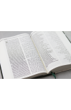 BK2246 - ARABIC ENGLISH DIGLOT BIBLE - - 3 