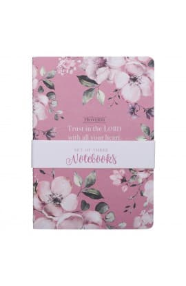 Notebook Set 3pc MD Pink White Prov 3:5 Gray thumbnail 1
