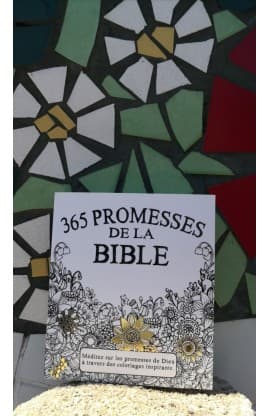 365 PROMESSES DE LA BIBLE  thumbnail 8