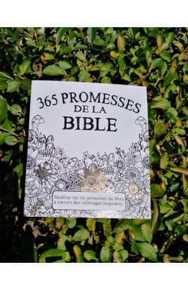 365 PROMESSES DE LA BIBLE  thumbnail 9