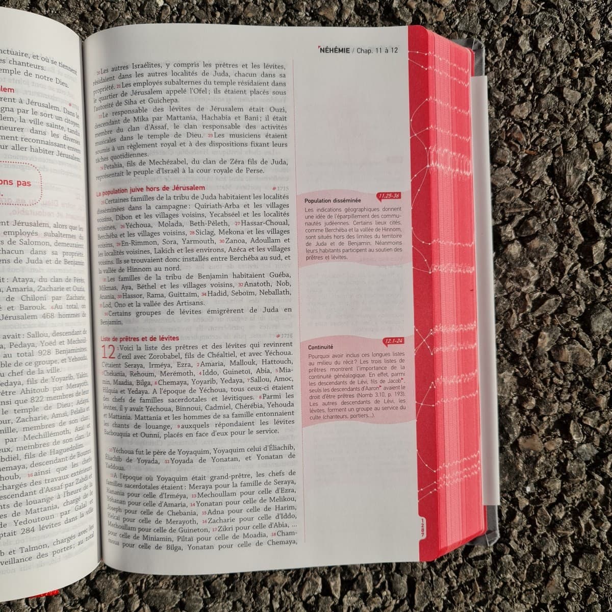 ZE BIBLE SB1000 (SLIGHTLY IMPERFECT COVER) - 2