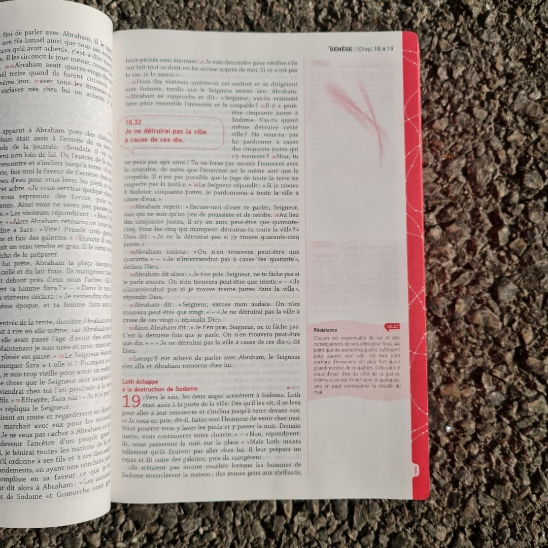 ZE BIBLE SB1000 (SLIGHTLY IMPERFECT COVER) - 5