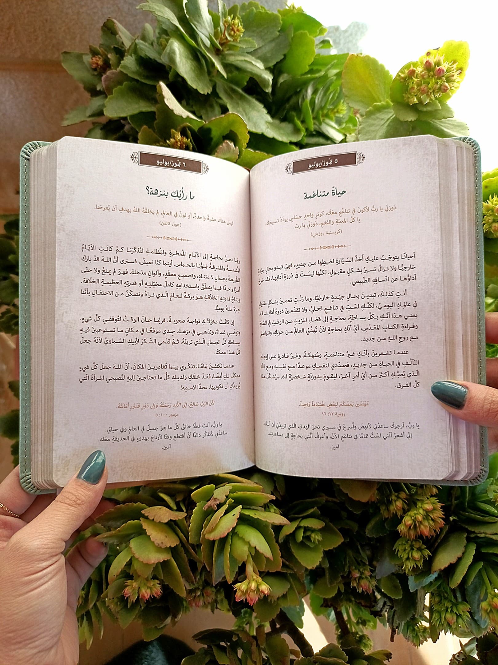YOU ARE BLESSED إمرأة مباركة  - 4