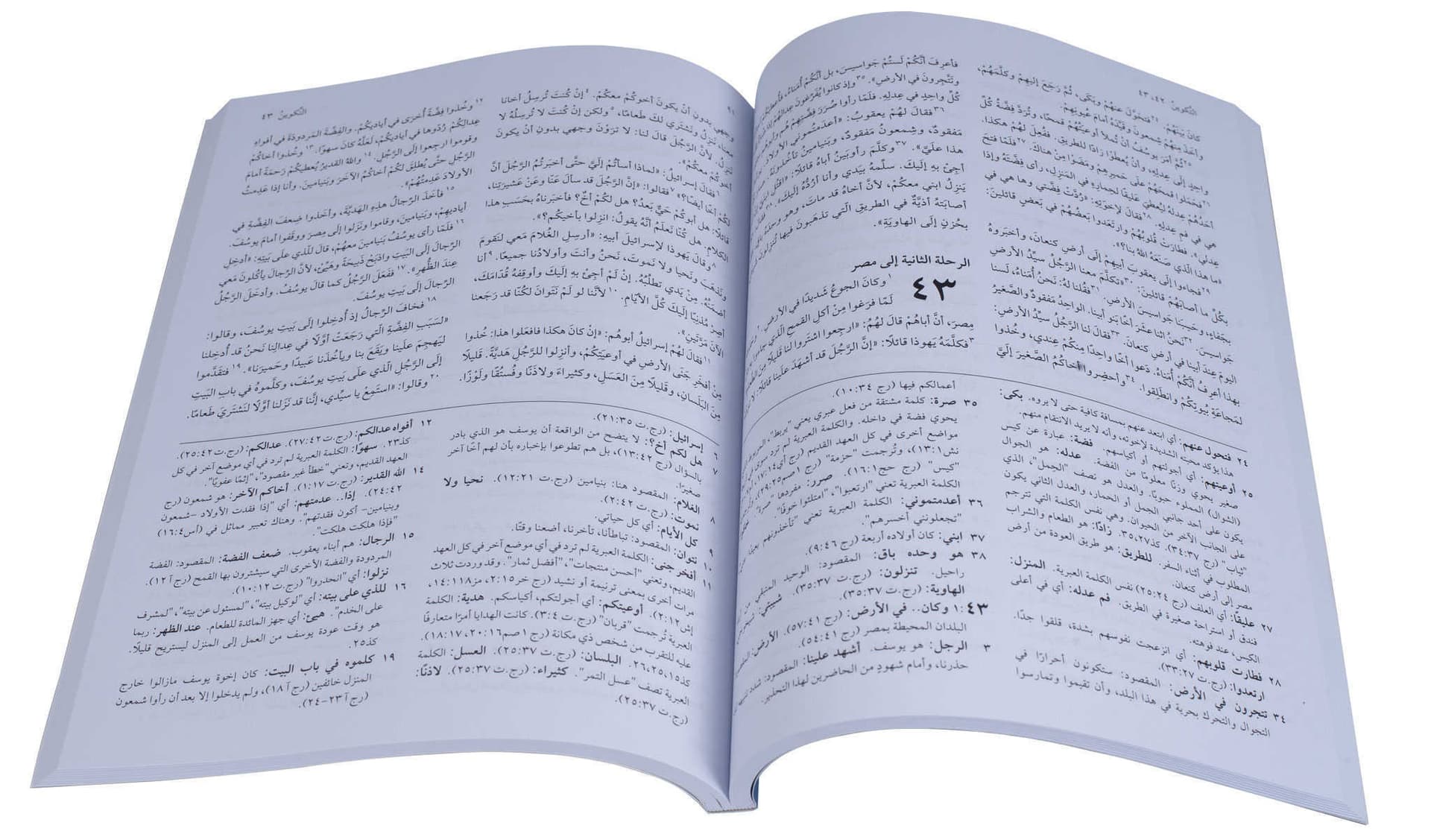 سفر التكوين بالخلفيات التوضيحية - 3