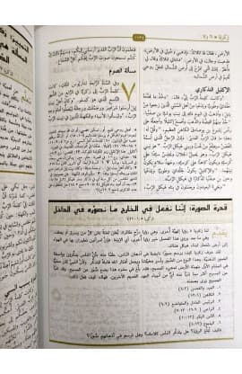 الكتاب المقدس دراسات في القيادة thumbnail 8