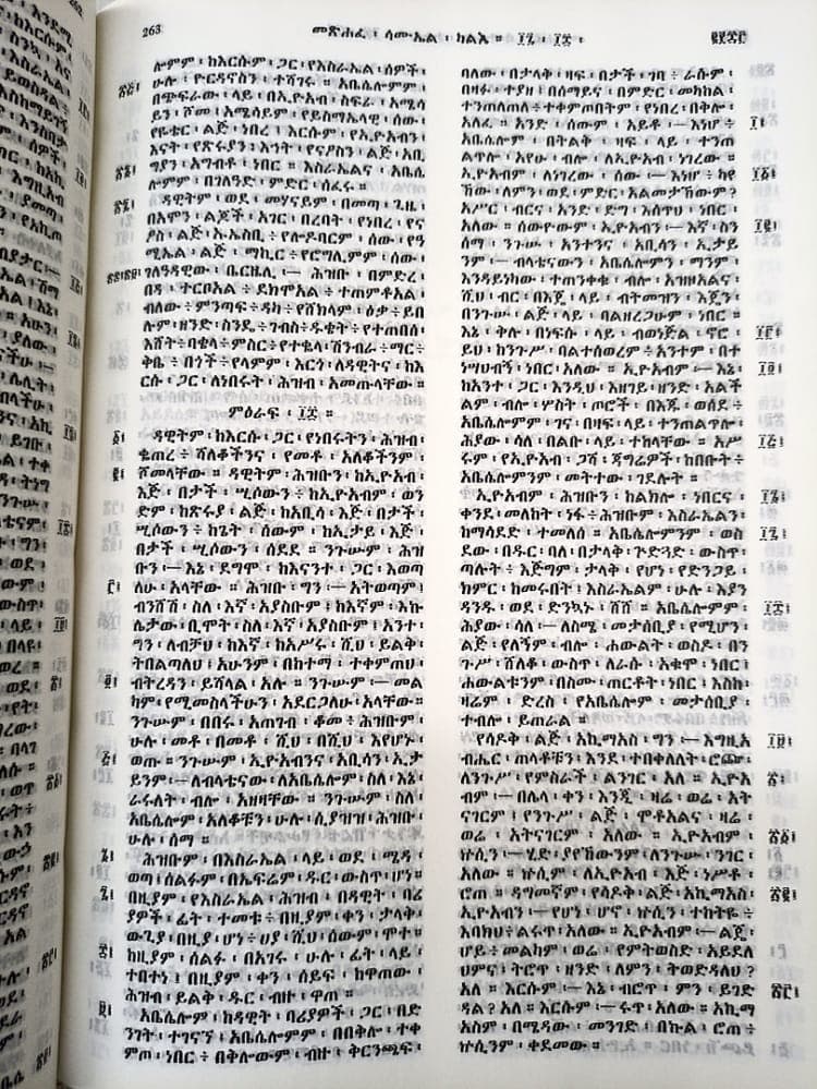 AMHARIC BIBLE R052PL BLACK BROWN NEW EDITION - 4