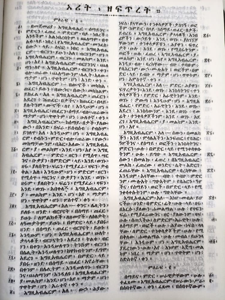 AMHARIC BIBLE R052PL BLACK BROWN NEW EDITION - 5