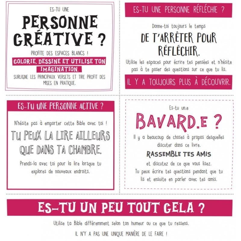 YOUTH BIBLE VERSION FRANCAISE SB1001 - 3