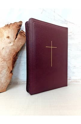 الكتاب المقدس   ترجمة فان دايك   ZTI 057 (Reference, Zipper, Index)  thumbnail 7