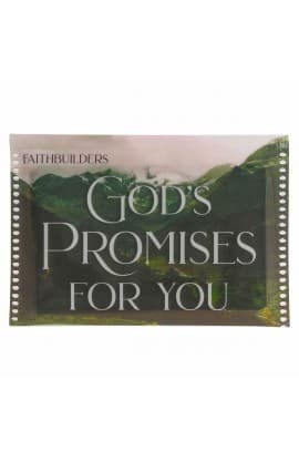 Promises from God FaithBuilders Set thumbnail 1