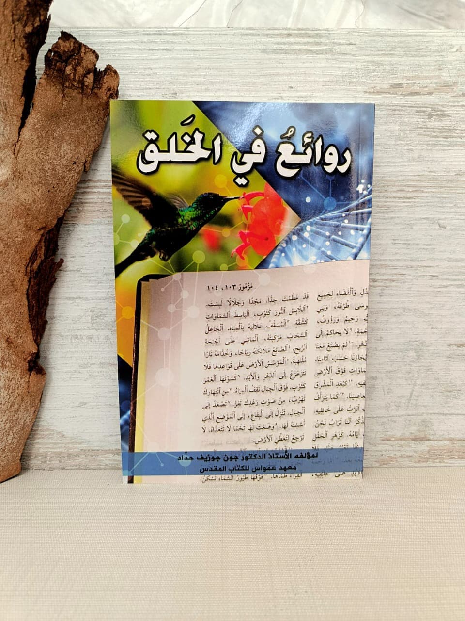 روائع في الخلق - 1