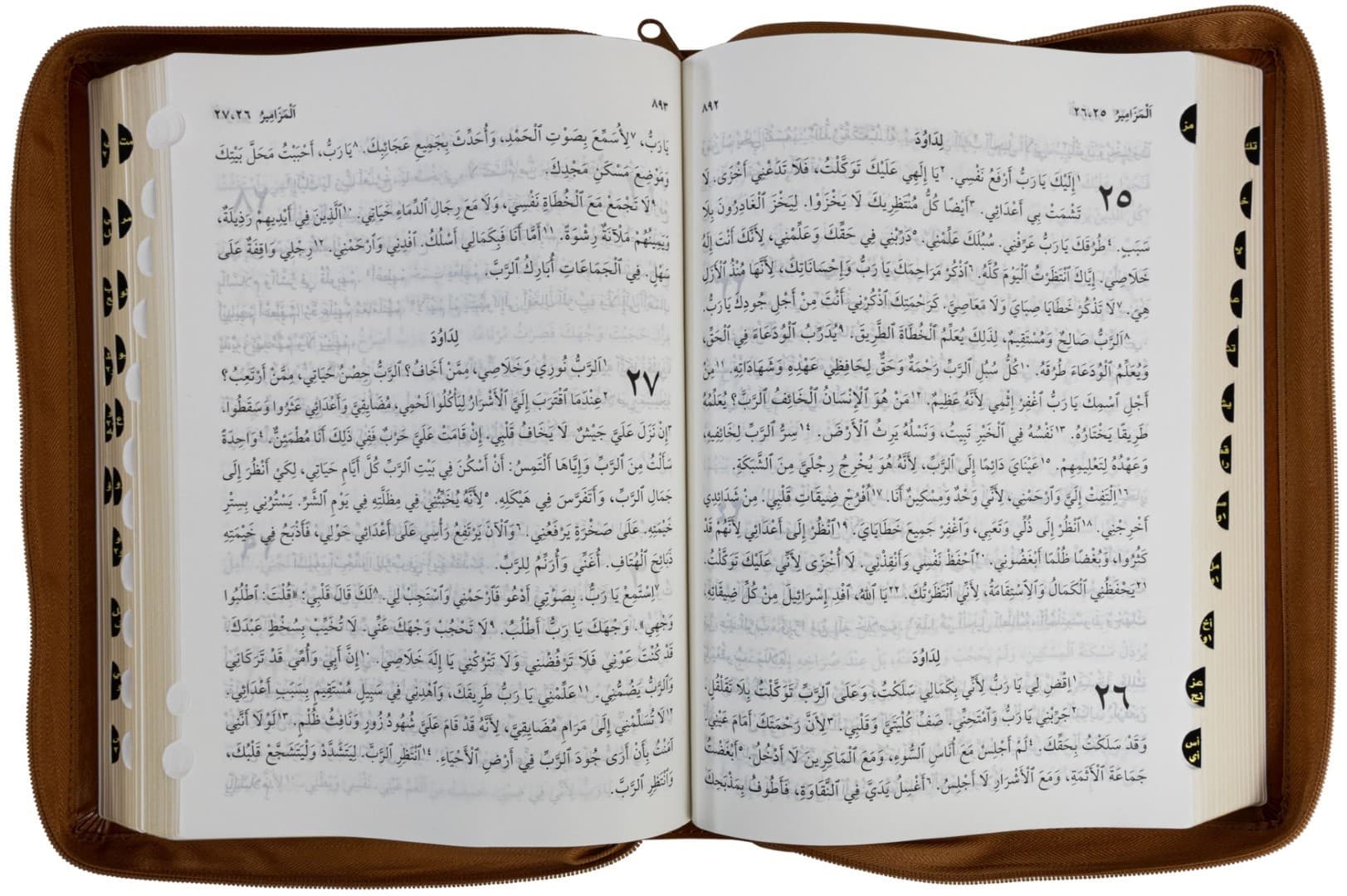 الكتاب المقدس 85 TIZ NVD عمود واحد - 3