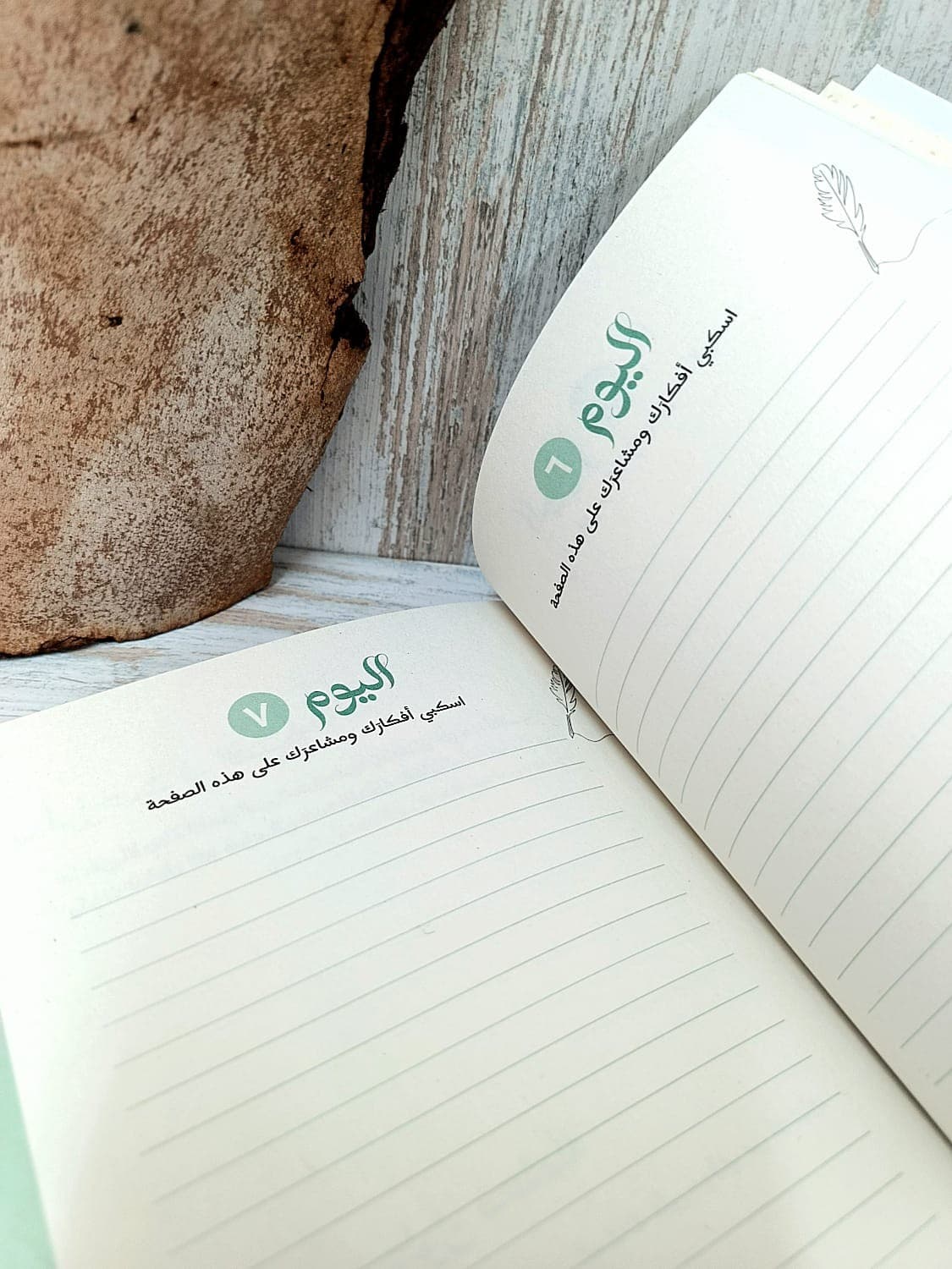 يوميات قلب ممتن - 4