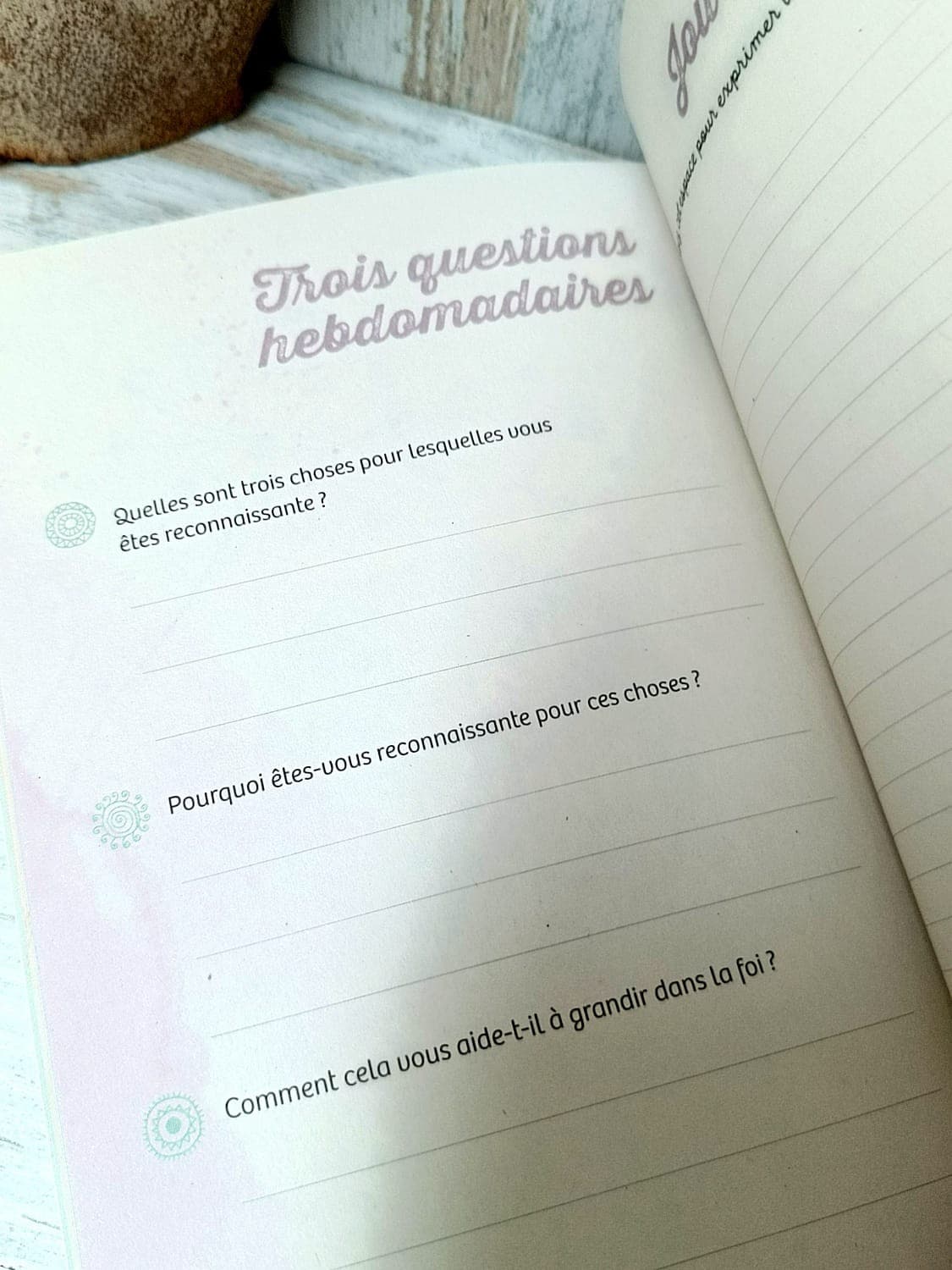 JOURNAL D'UN COEUR RECONNAISSANT - 3