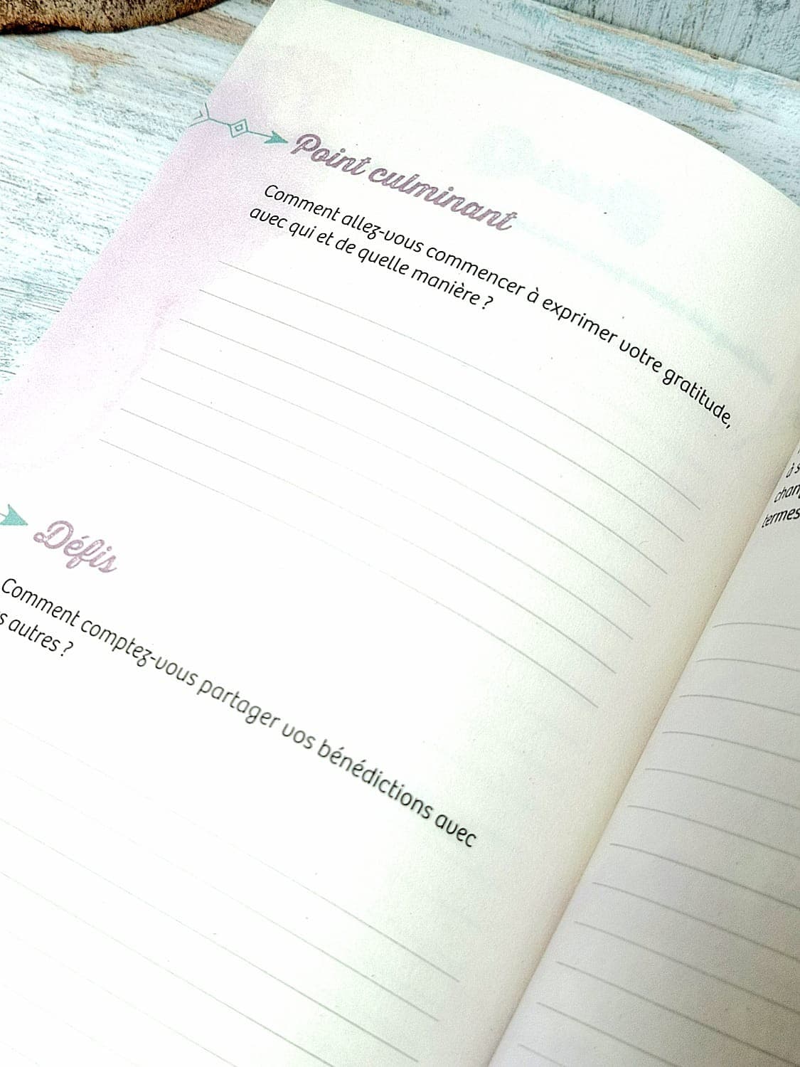 JOURNAL D'UN COEUR RECONNAISSANT - 4