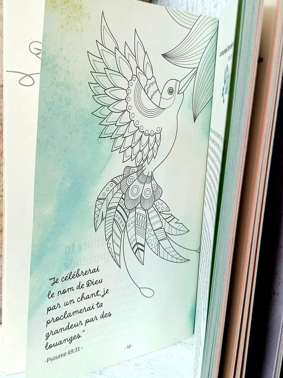 JOURNAL D'UN COEUR RECONNAISSANT - 5