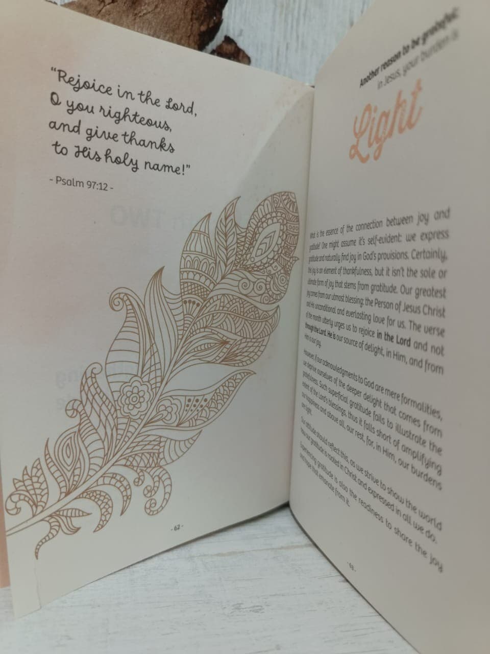 CHRONICLES OF A GRATEFUL HEART - 3
