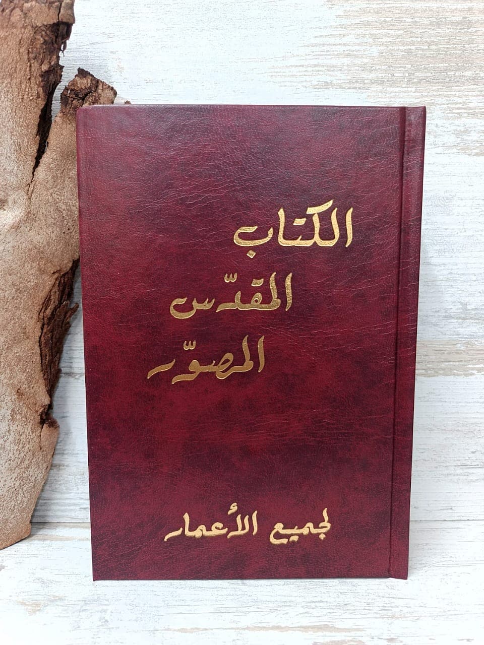 الكتاب المقدّس المصوّر لجميع الأعمار - 1
