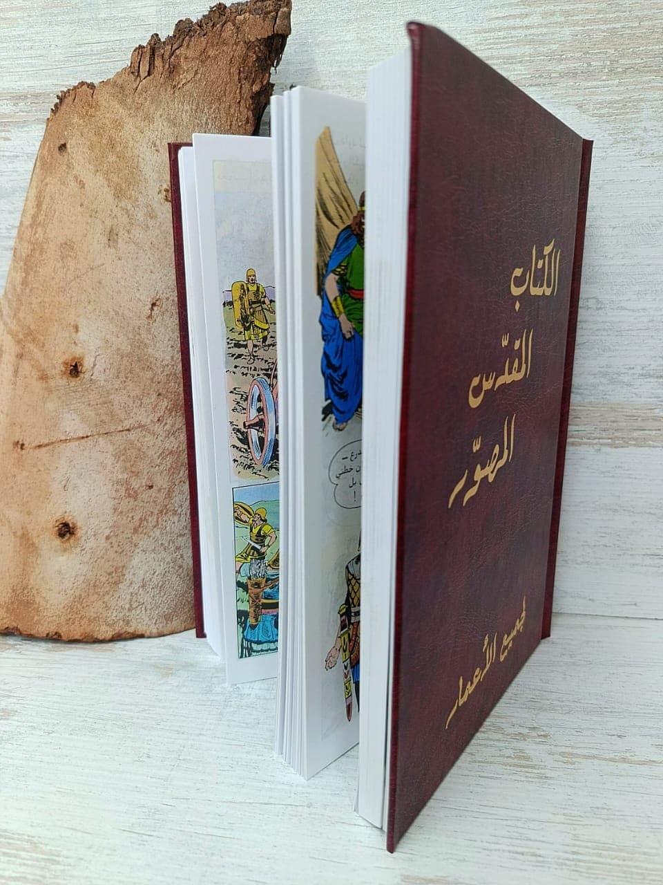 الكتاب المقدّس المصوّر لجميع الأعمار - 2