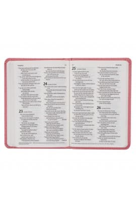 Bible NLT Infant New Testament Faux leather Pink thumbnail 8
