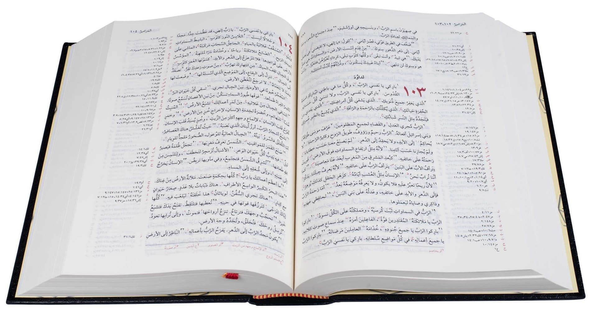 ARABIC BIBLE NVDCR053A - 2