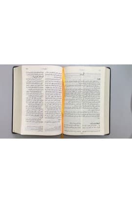 ARABIC BIBLE GNA067DC thumbnail 2