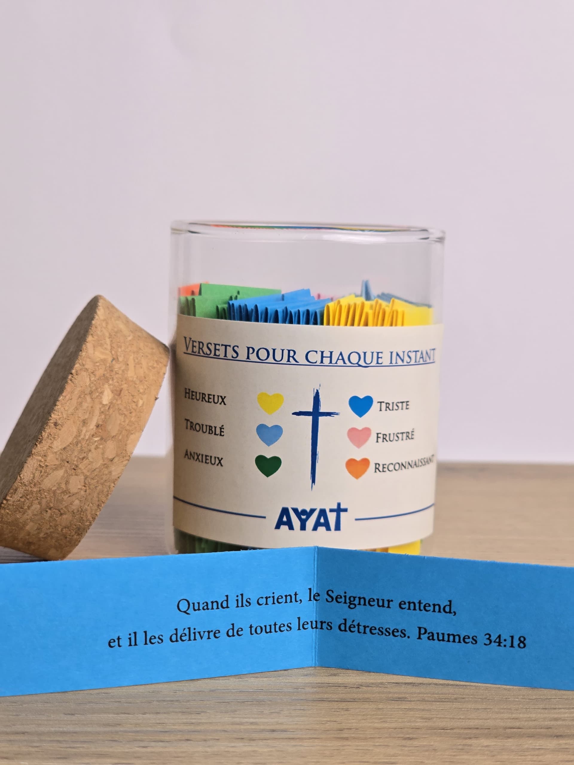 VERSETS POUR CHAQUE INSTANT JAR FRENCH - 2