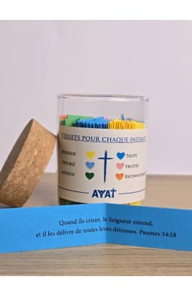 VERSETS POUR CHAQUE INSTANT JAR FRENCH thumbnail 2