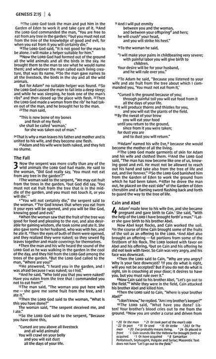 NIV Holy Bible Soft Touch EditionPink - 4
