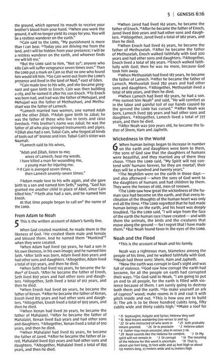 NIV Holy Bible Soft Touch EditionPink - 5