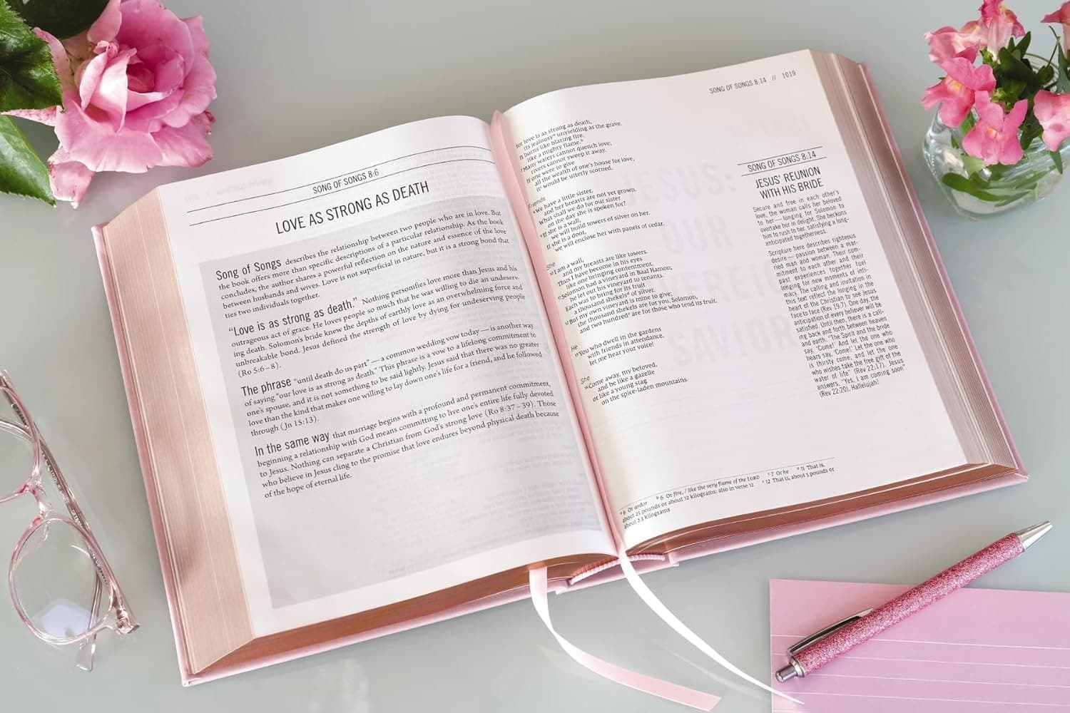 The Jesus Bible NIV Edition Leathersoft - 4