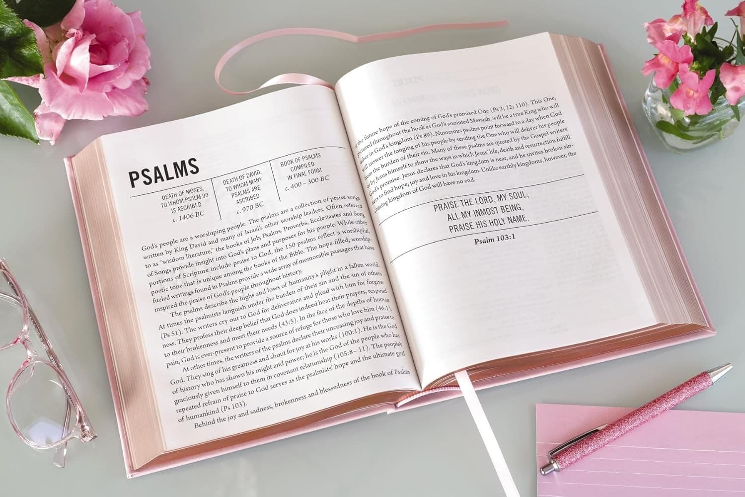 The Jesus Bible NIV Edition Leathersoft - 5